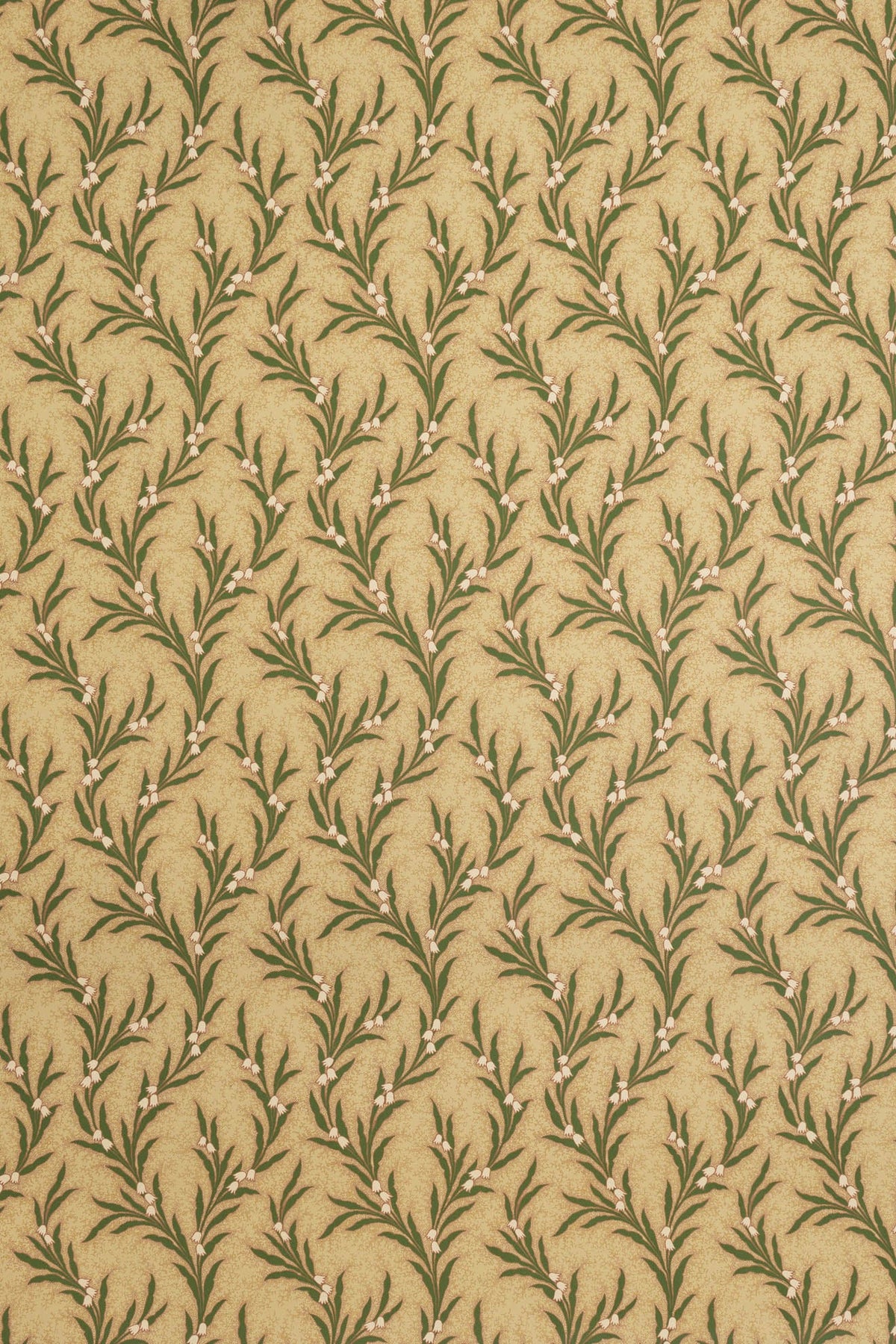 Maybell Wallpaper by Jean Monro in Document