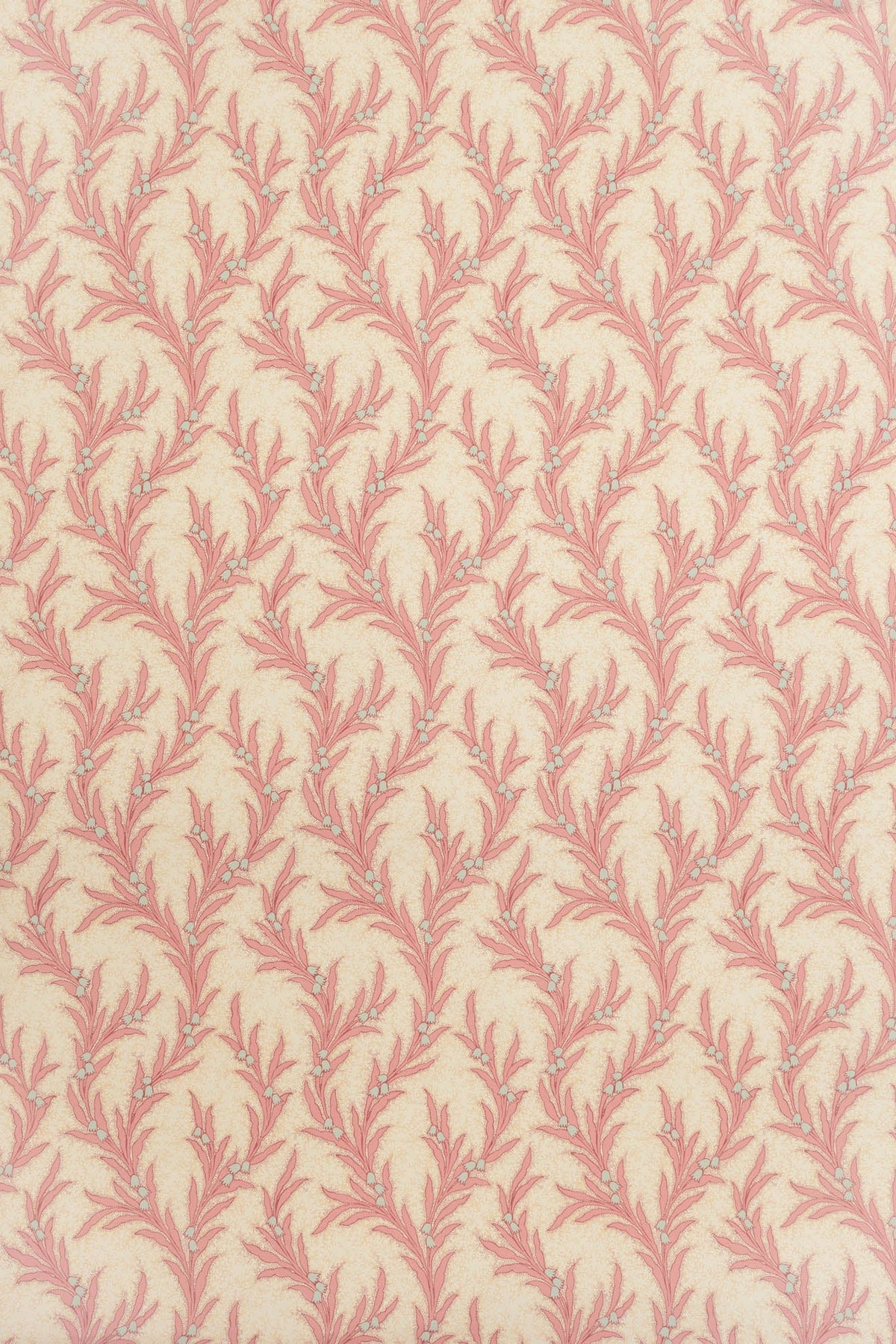 Maybell Wallpaper by Jean Monro in Shell