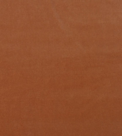 Medici Fabric by Andrew Martin Pigment