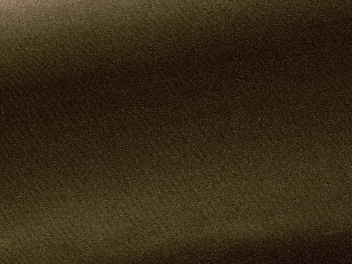 Medium Fabric by Pierre Frey in Army (F3211011)