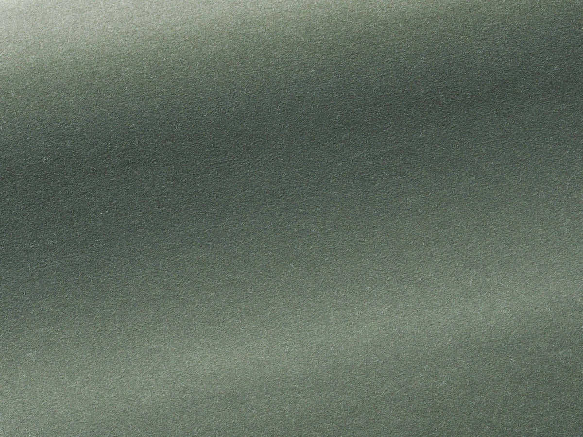 Medium Fabric by Pierre Frey in Céladon (F3211013)