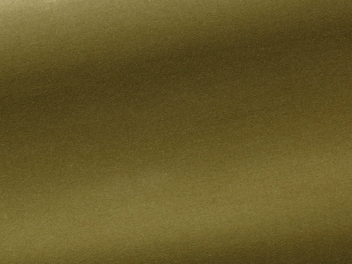 Medium Fabric by Pierre Frey in Fougère (F3211010)