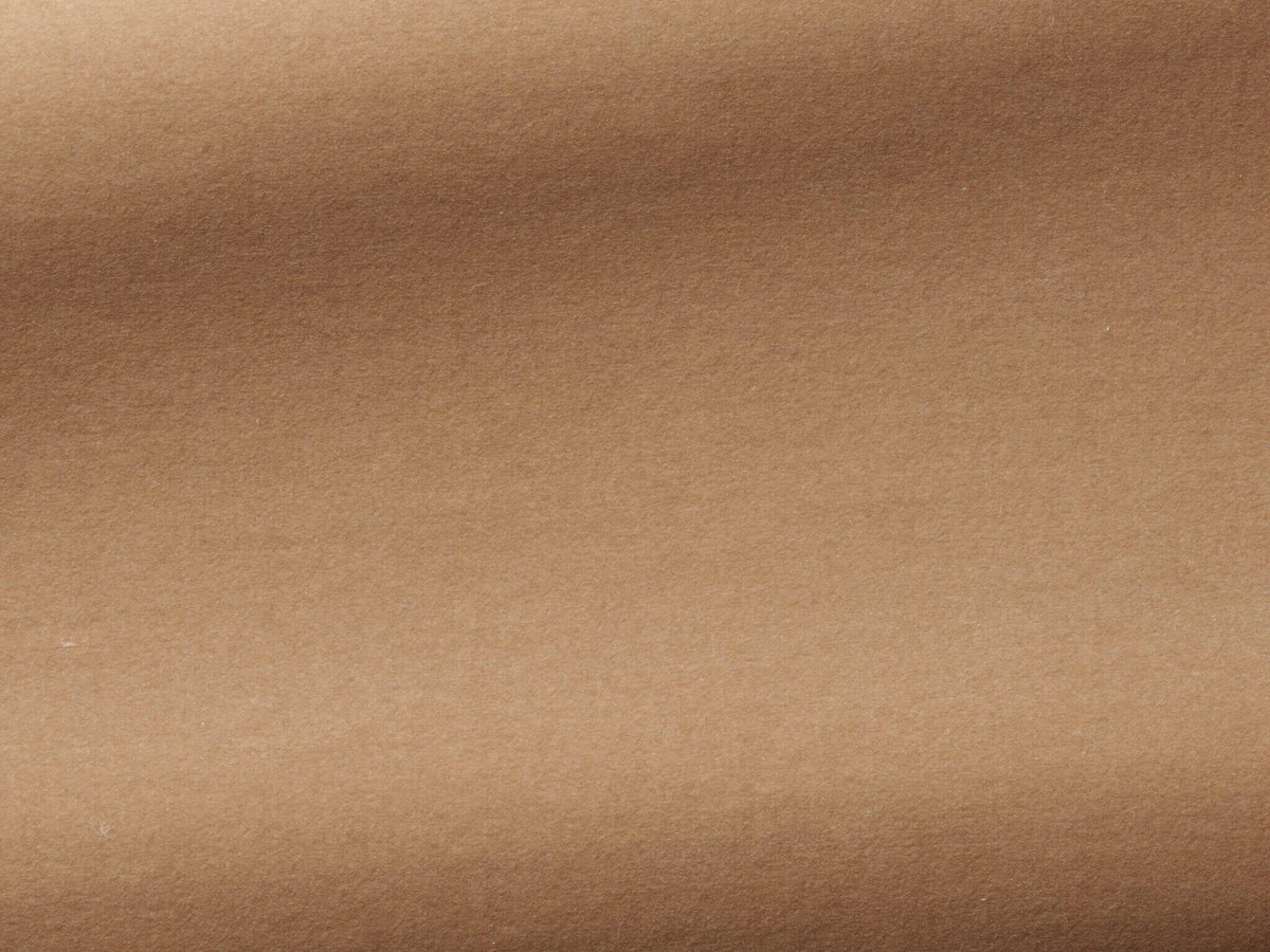 Medium Fabric by Pierre Frey in Latte (F3211002)