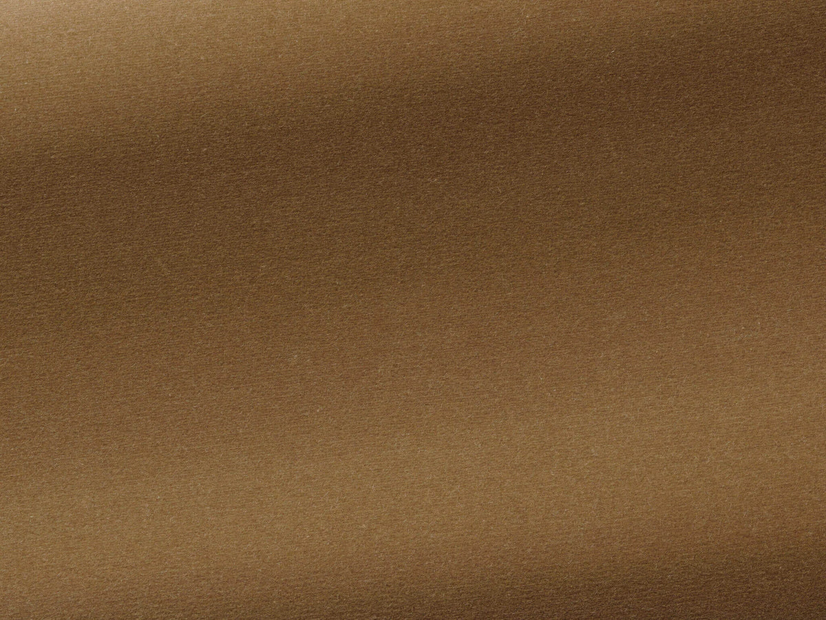 Medium Fabric by Pierre Frey in Mud (F3211003)