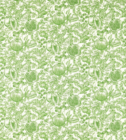Melograno Fabric by Harlequin Forest / First Light