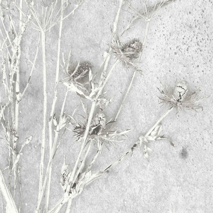 Meraki Concrete Effect Botanical Wallpaper​