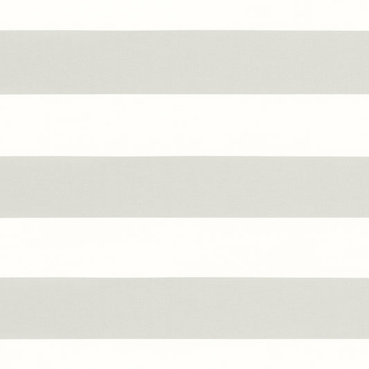 Meridian Fabric by Thibaut in Dove (FWW81720)
