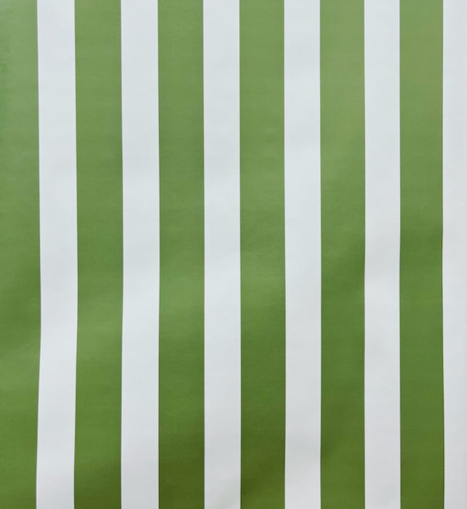 Miami Stripe Garden Green / Light Blue wallpaper by China Seas