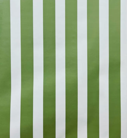 Miami Stripe Garden Green / Light Blue wallpaper by China Seas