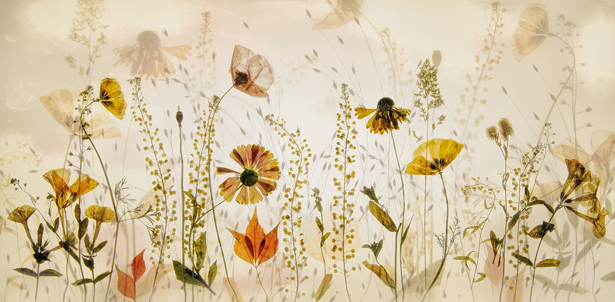 Midsummer Meadow Beige mural by Rebel Walls