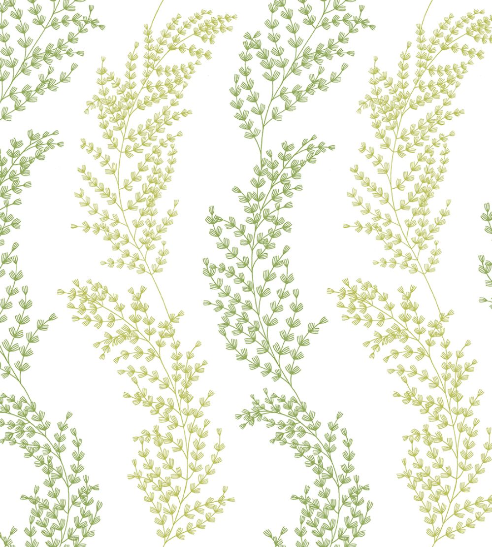 Mimosa Trail Wallpaper by Ohpopsi Olive