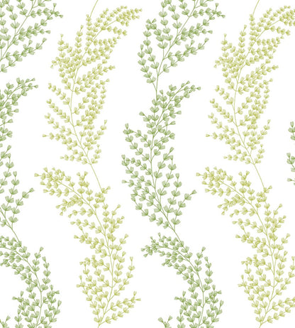 Mimosa Trail Wallpaper by Ohpopsi Olive