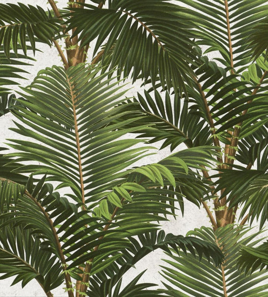 Jardin Tropical Wallpaper by MINDTHEGAP Green