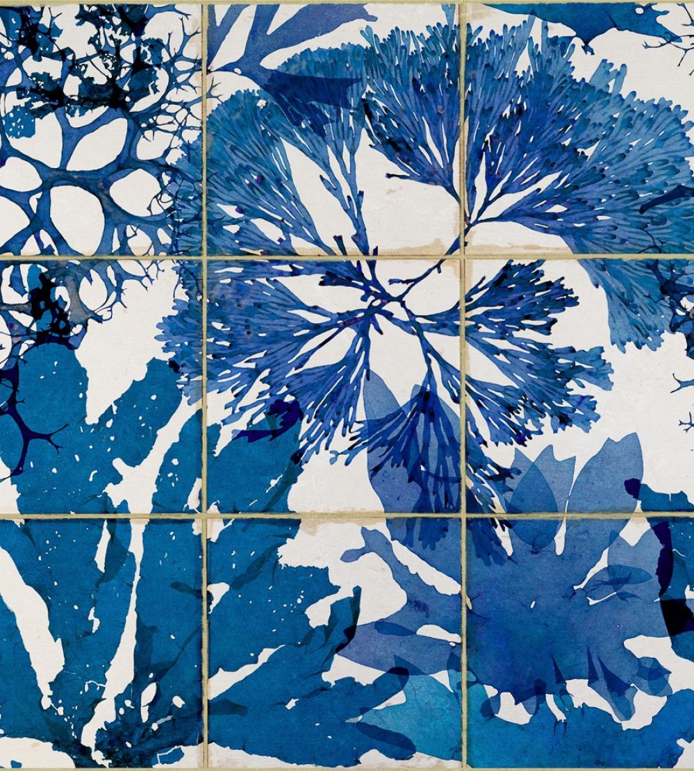 Algae Wallpaper by MINDTHEGAP Blue