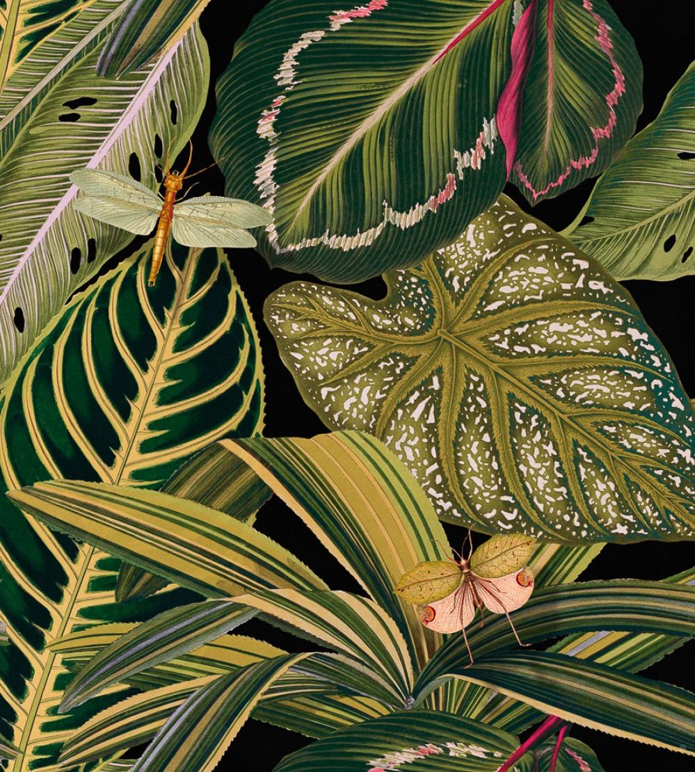 Amazonia Wallpaper by MINDTHEGAP Black,Green