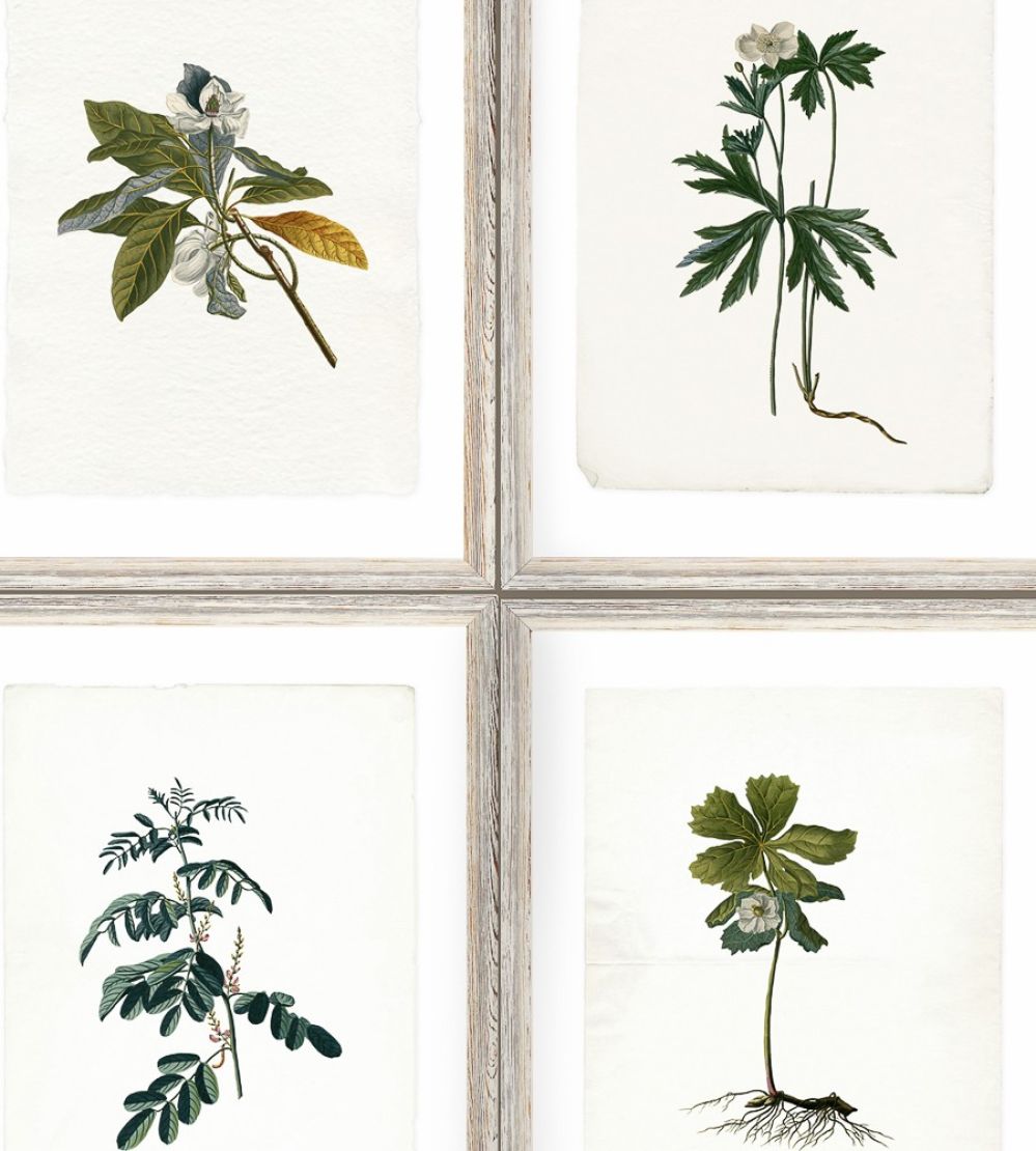 Botany Wallpaper by MINDTHEGAP Green,Grey