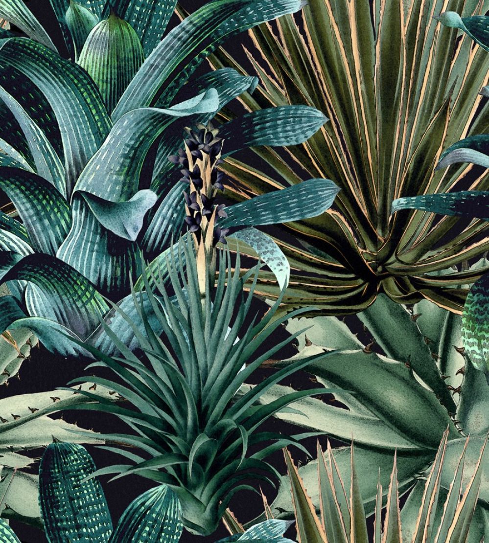 Lush Succulents Wallpaper by MINDTHEGAP Black,Green