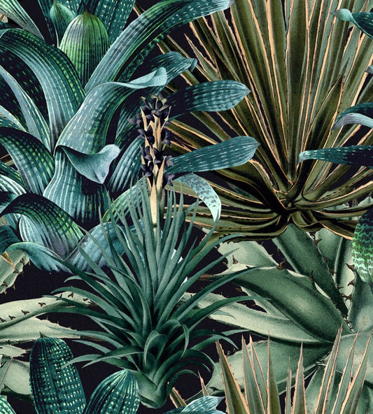 Lush Succulents Wallpaper by MINDTHEGAP Black,Green