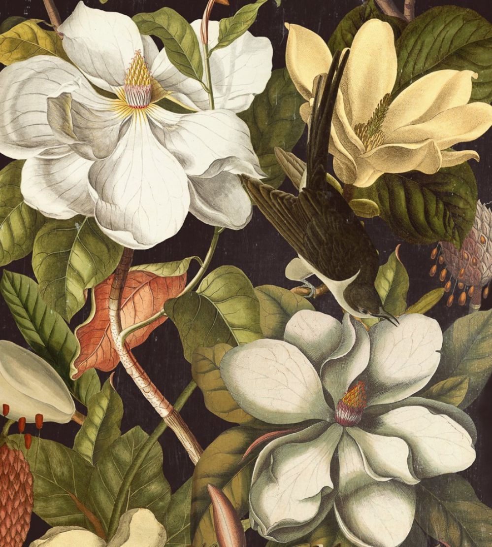 Magnolia Wallpaper by MINDTHEGAP Black,Green