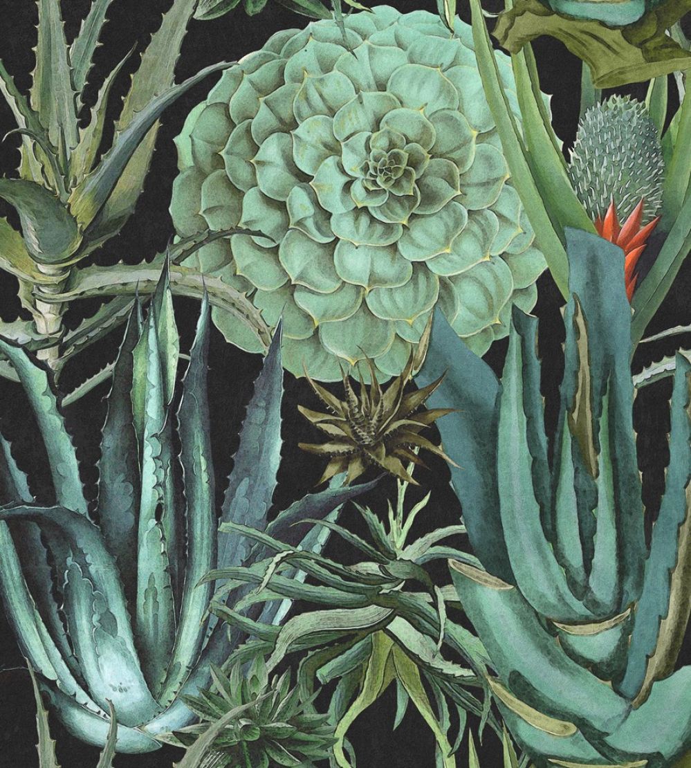 Succulentus Wallpaper by MINDTHEGAP Anthracite