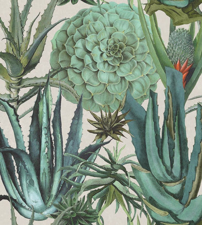 Succulentus Wallpaper by MINDTHEGAP Green,Taupe