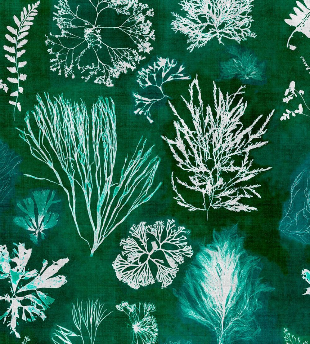 Algae Wallpaper by MINDTHEGAP Moss