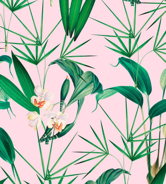 Palm Springs Wallpaper by MINDTHEGAP Green, Pink, White