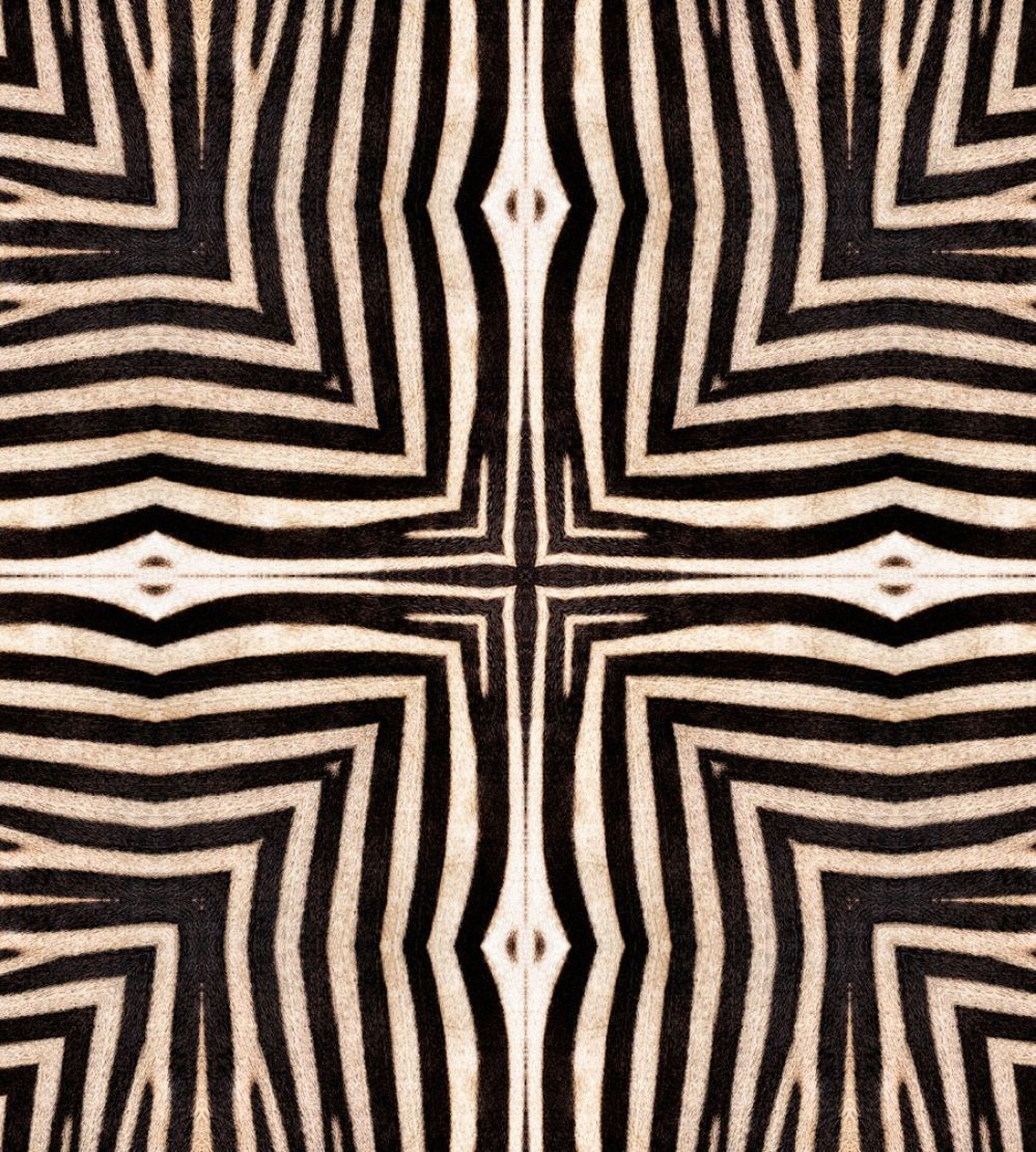 Serengeti Wallpaper by MINDTHEGAP 5