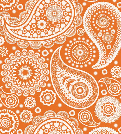 Paisley Crescent Wallpaper by Mini Moderns Tangerine Dream