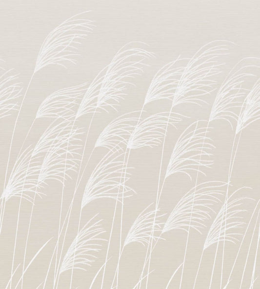 Miscanthus Mural by Harlequin Parchment/Frost
