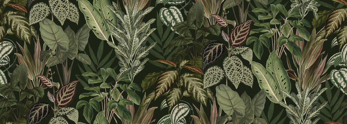 Mischievous Jungle Lush mural by Rebel Walls
