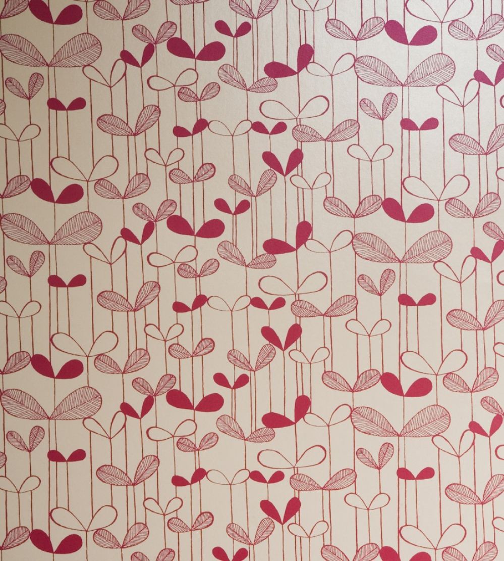 Saplings Wallpaper by MissPrint Cream with Pink