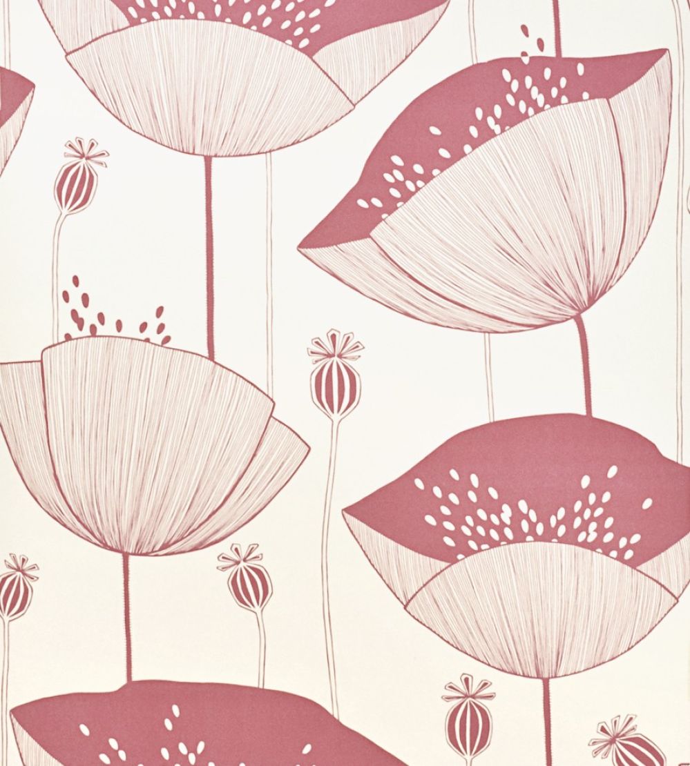 Poppy Wallpaper by MissPrint Blush