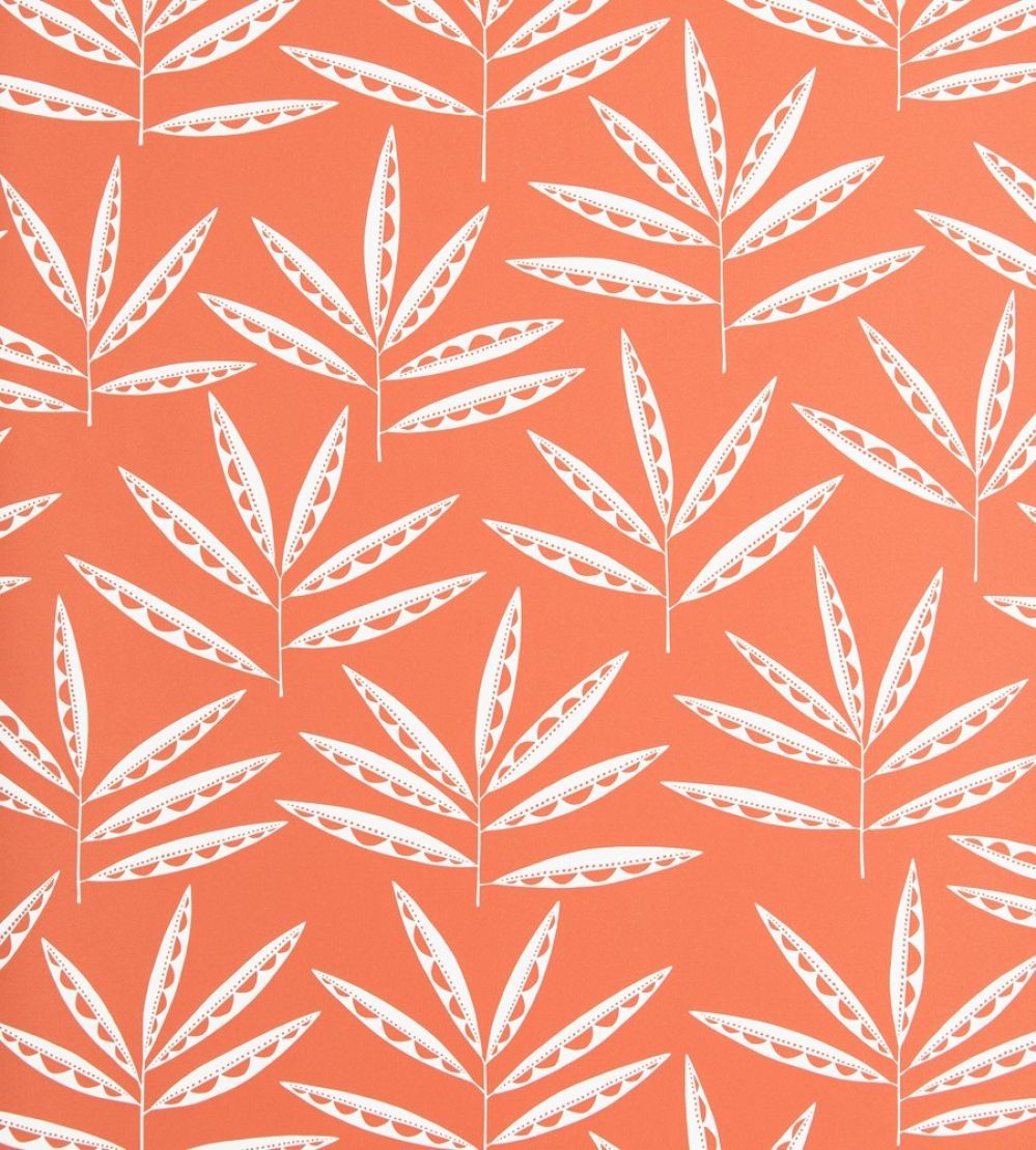 Pea Pods Wallpaper by MissPrint Terracotta
