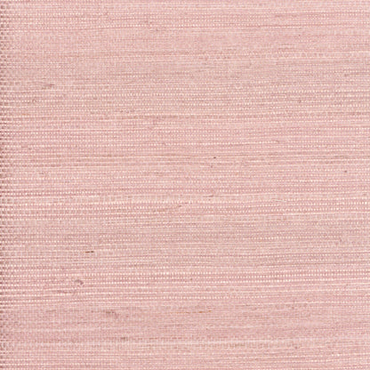 TRH51000 Wallpaper