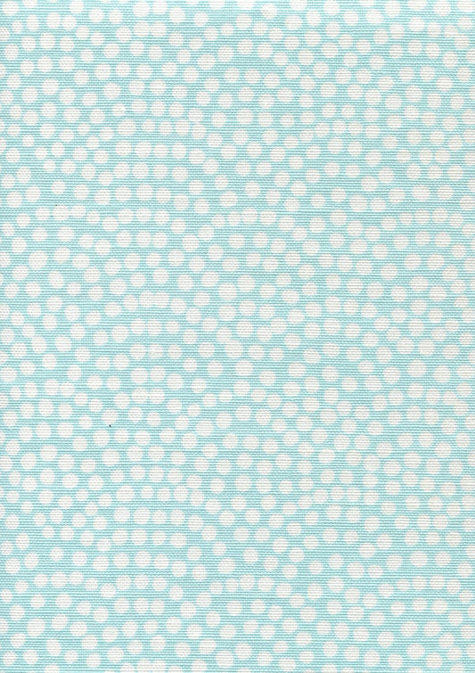 Mojave One Color Reverse Pale Turquoise on White fabric by Alan Campbell