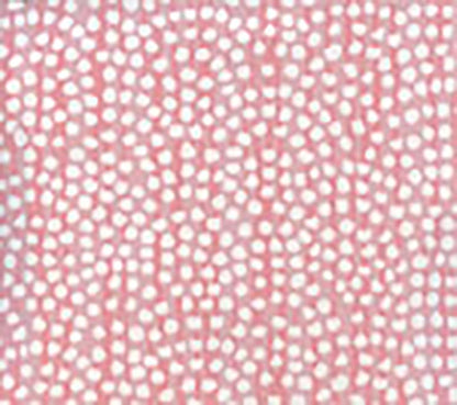 Mojave Pinks wallpaper by Alan Campbell