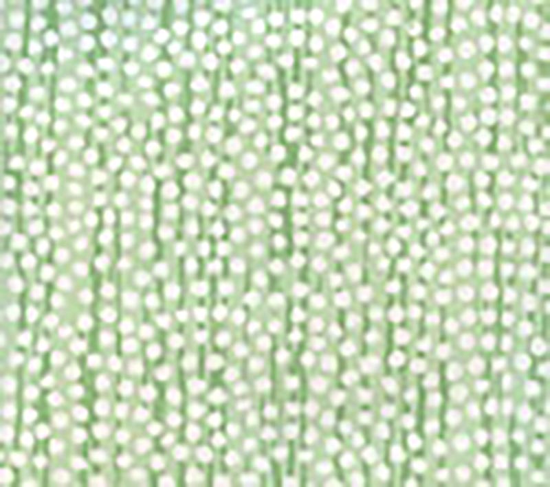 Mojave Greens wallpaper by Alan Campbell