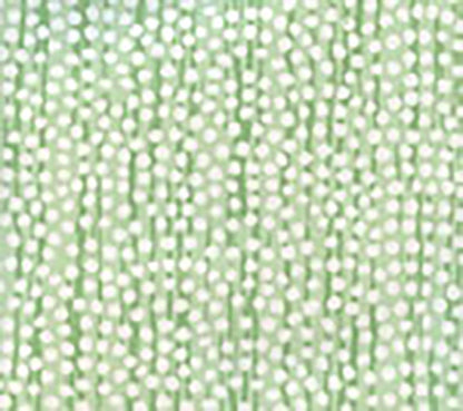 Mojave Greens wallpaper by Alan Campbell