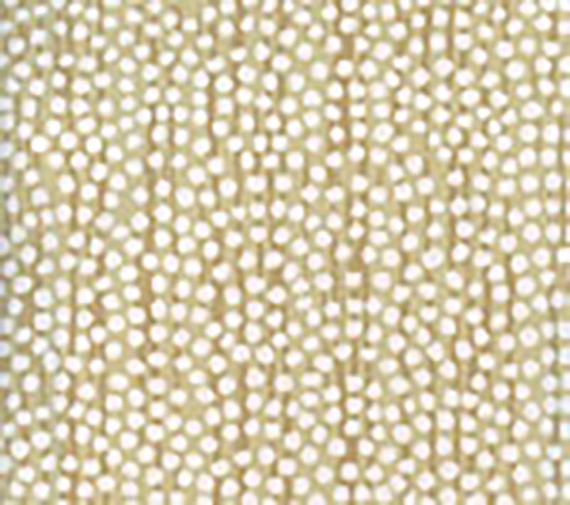 Mojave Tans wallpaper by Alan Campbell