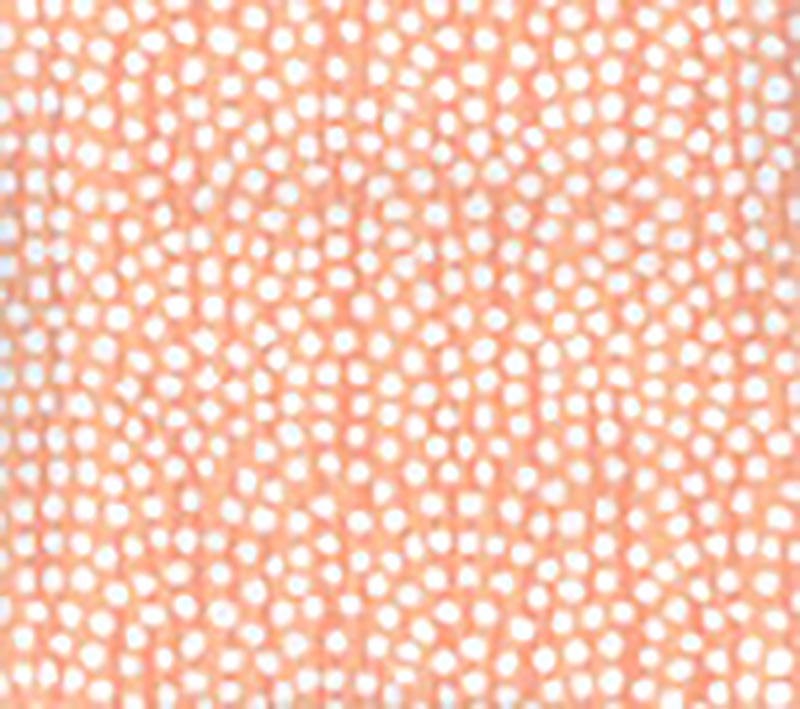 Mojave Coral wallpaper by Alan Campbell