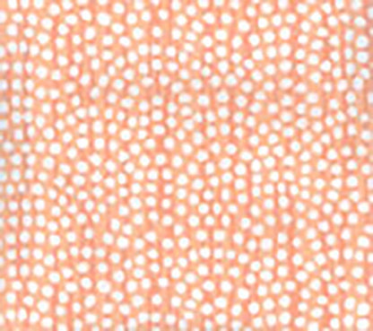 Mojave Coral wallpaper by Alan Campbell