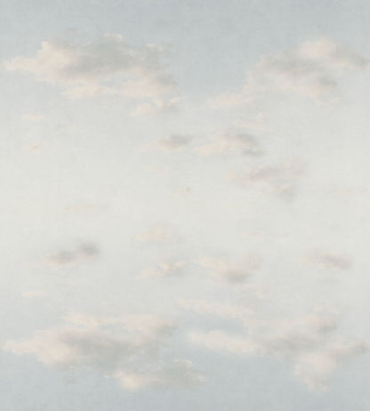 Moln Ceiling Mural by Sandberg Light Blue