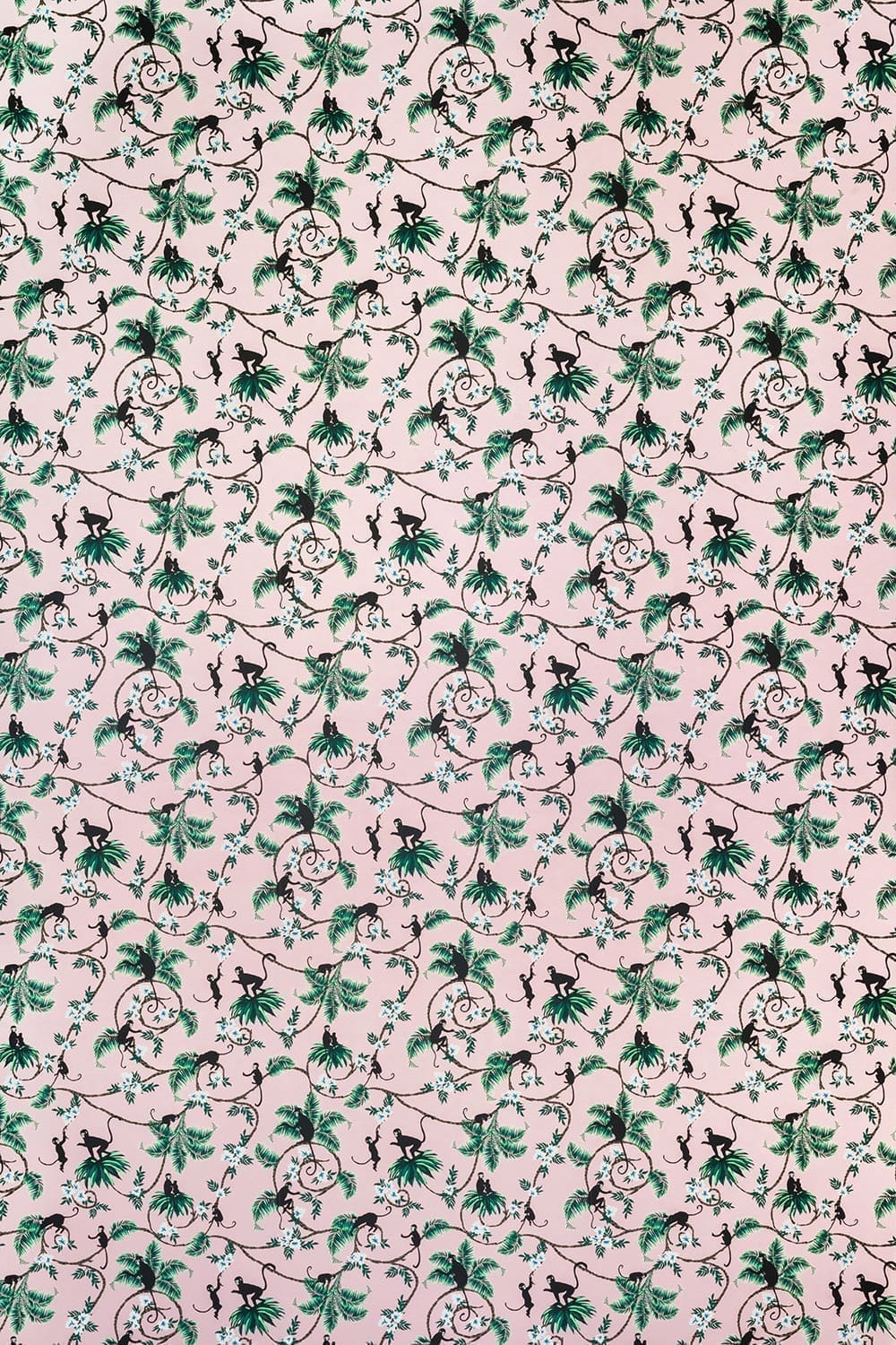 Monkey Wallpaper by Barneby Gates – The ReBorn House