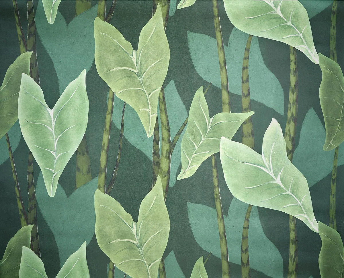 Monstera Wallpaper by Pierre Frey in Jungle (FP092002)