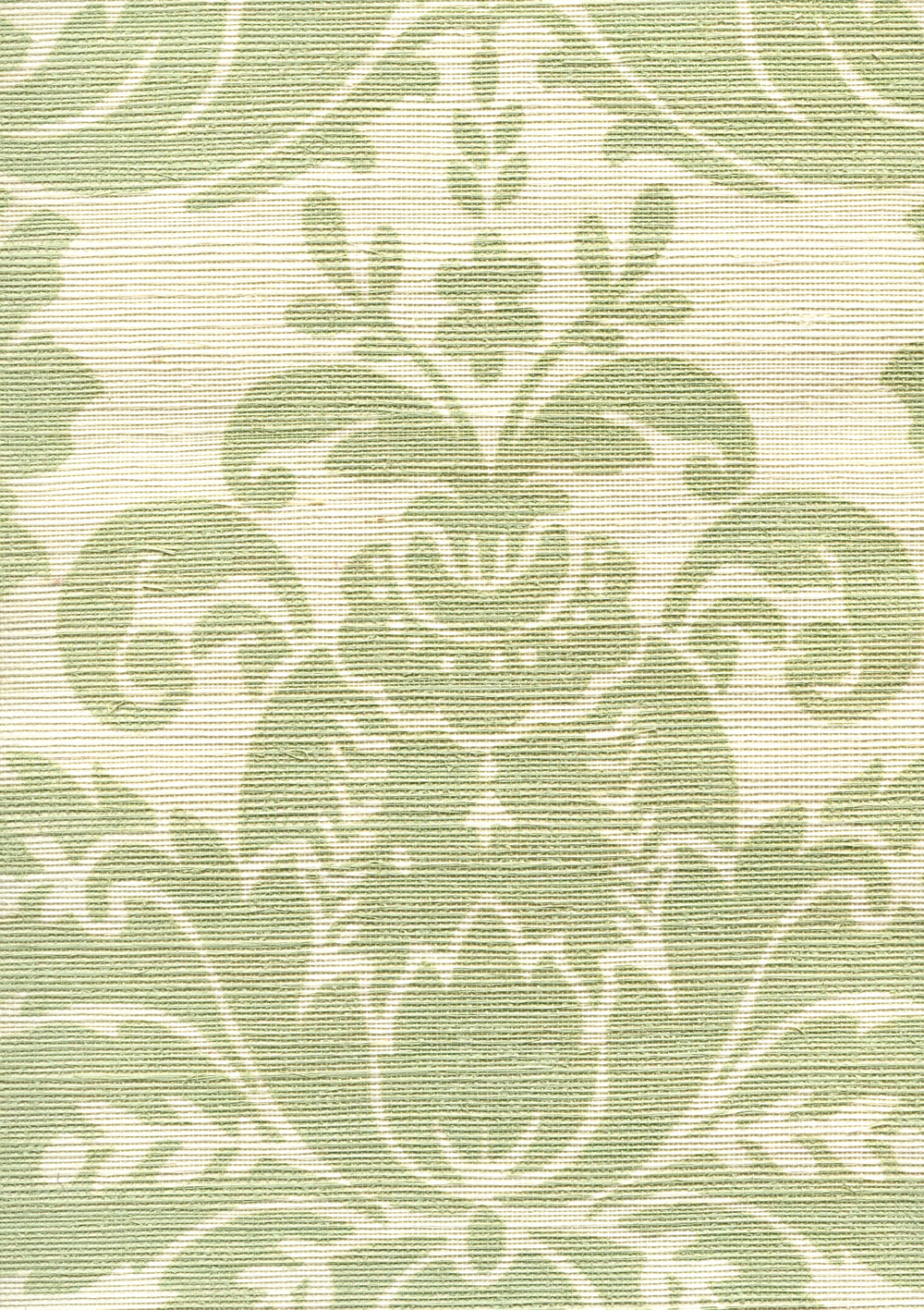 Monty on Grasscloth French Green on Cream Grasscloth wallpaper by Quadrille