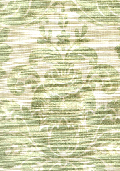 Monty on Grasscloth French Green on Cream Grasscloth wallpaper by Quadrille
