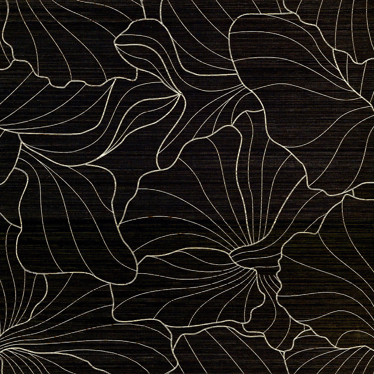 Morning Meadow Wallpaper by Phillip Jeffries in Midnight Bloom (PJ 42702)
