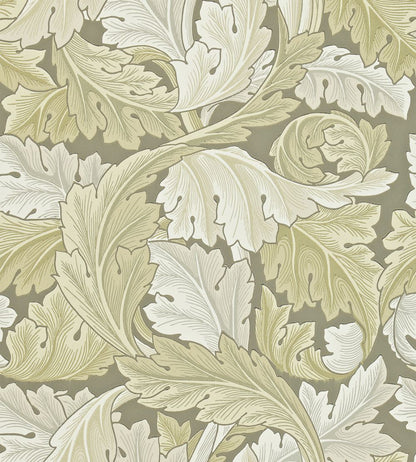 Acanthus Wallpaper by Morris & Co Stone