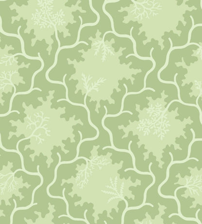 Moss Trellis Wallpaper by Cole & Son Matcha & Pistachio Green